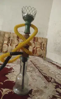 قیلون