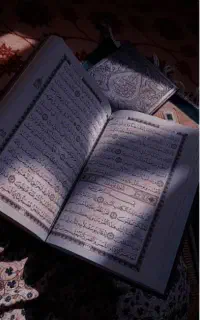 سرکتاب