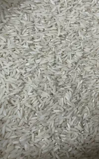 فروش انواع برنج هاشمی طارم فجر دمسیاه عنبربو