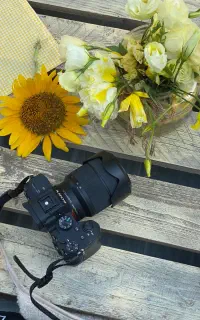 عکاسی و فیلمبرداری مراسم عقد بله برون‌ تولد