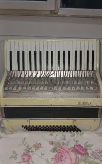 اکاردئون۸۰ باس ایتالیا تمیز