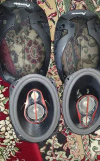 باند پاینر