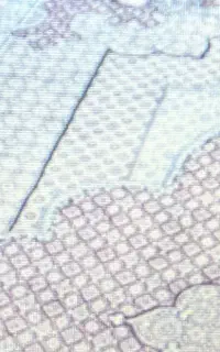 فرش ۱۲ متری ۱۲۰۰ شانه