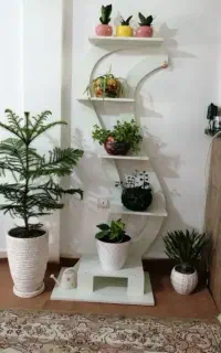 شلف