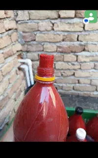 رب گوجه فرنگی