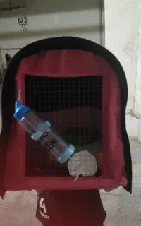باکس حیوانات