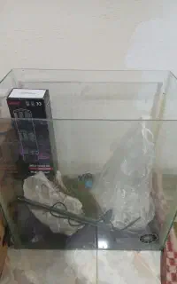 آکواریوم باوسایل