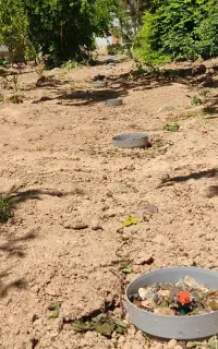 آبیاری زیرسطحی طرح نوین با مزایای فوق العاده