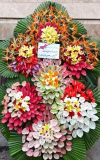 تاج گل امیر برای افتتاحیه کد ۳۲۵۶ نمایشگاهی و شادی