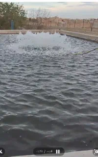 پرورش ماهی قزل آلا  رنگین کمان