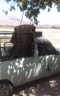 وانت کرایه ای