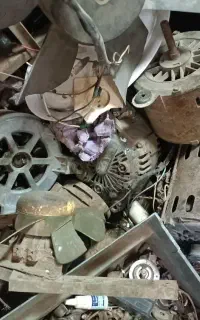 موتور ژن