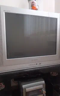 تلوزیون