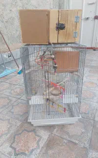 قفس پرنده