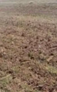 حدود نیم هکتار زمین باآب. سند دار حاشیه جاده