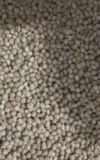 نخود پزا وتمیز کیلویی 160