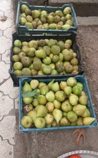 مربای انجیر خانگی