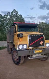 Volvo توپ طلا
