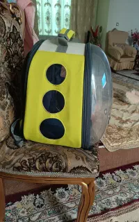 کوله ی حمل سگ و گربه پارک شو