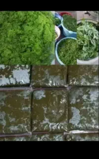 100کیلو سبزی خورشتی موجود هست
