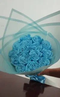گل رز ربانی