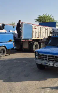 کوداوره بصورت عمده