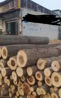 خرید چوب