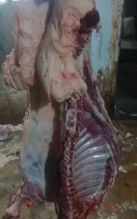 گوشت میش،بز چاق