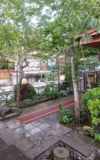 چند نیروی خانم جهت کار در رستوران