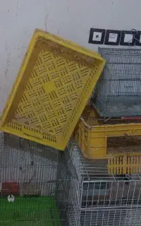 سبد و توری و قفس