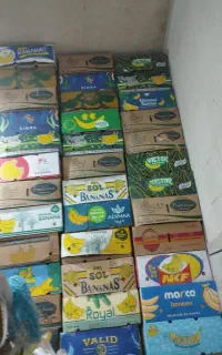فروش عمده