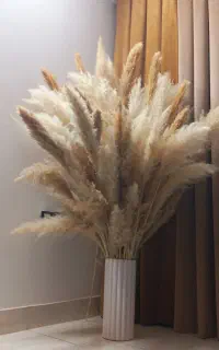 گل پمپاس با تزعین گل نی با گلدون کامل