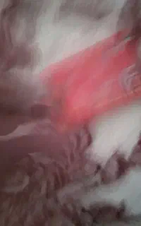 کارت سوخت