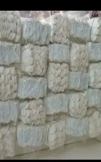 اجتماعی