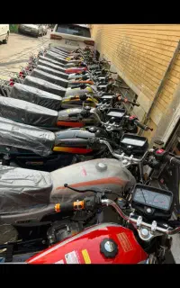 زمرد کویر ۱۵ ماهه