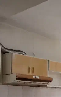 هود سالم