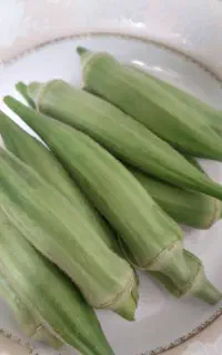 بامیه تازه