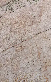 نمد کاپوت ماشین گم شده