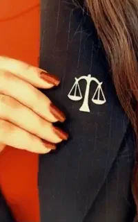 تنظیم لایحه و اظهارنامه تخصصی