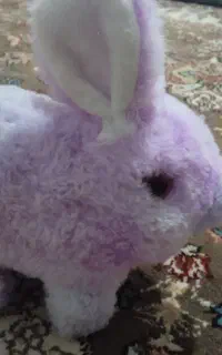 اسبابازی
