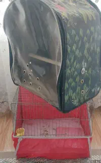 قفس مسافرتی و قفس سالم پرنده
