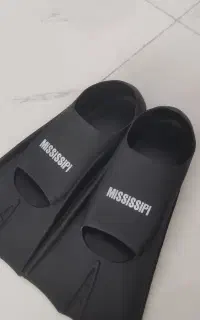 فین شنا