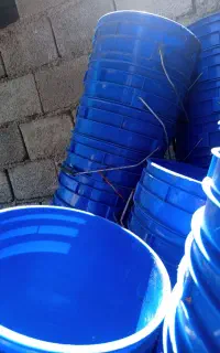 سطل تمیز