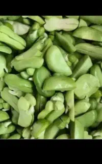 باقالی ارسال رایگان