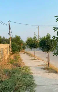 زمین فروشی