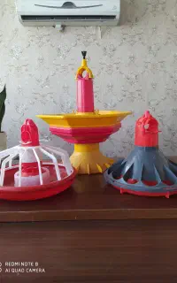 دانخوری پارس و کناوی