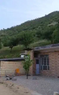 گرفتن نگهبان شبانه روزی