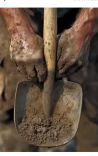 شاگردِکاشیکارم دنبال کارم از پیرانشهربراهولیر