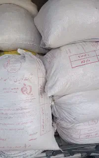 نون خشکه ده گونی