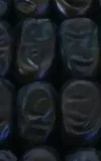 خرما مضافتی سه ردیفی